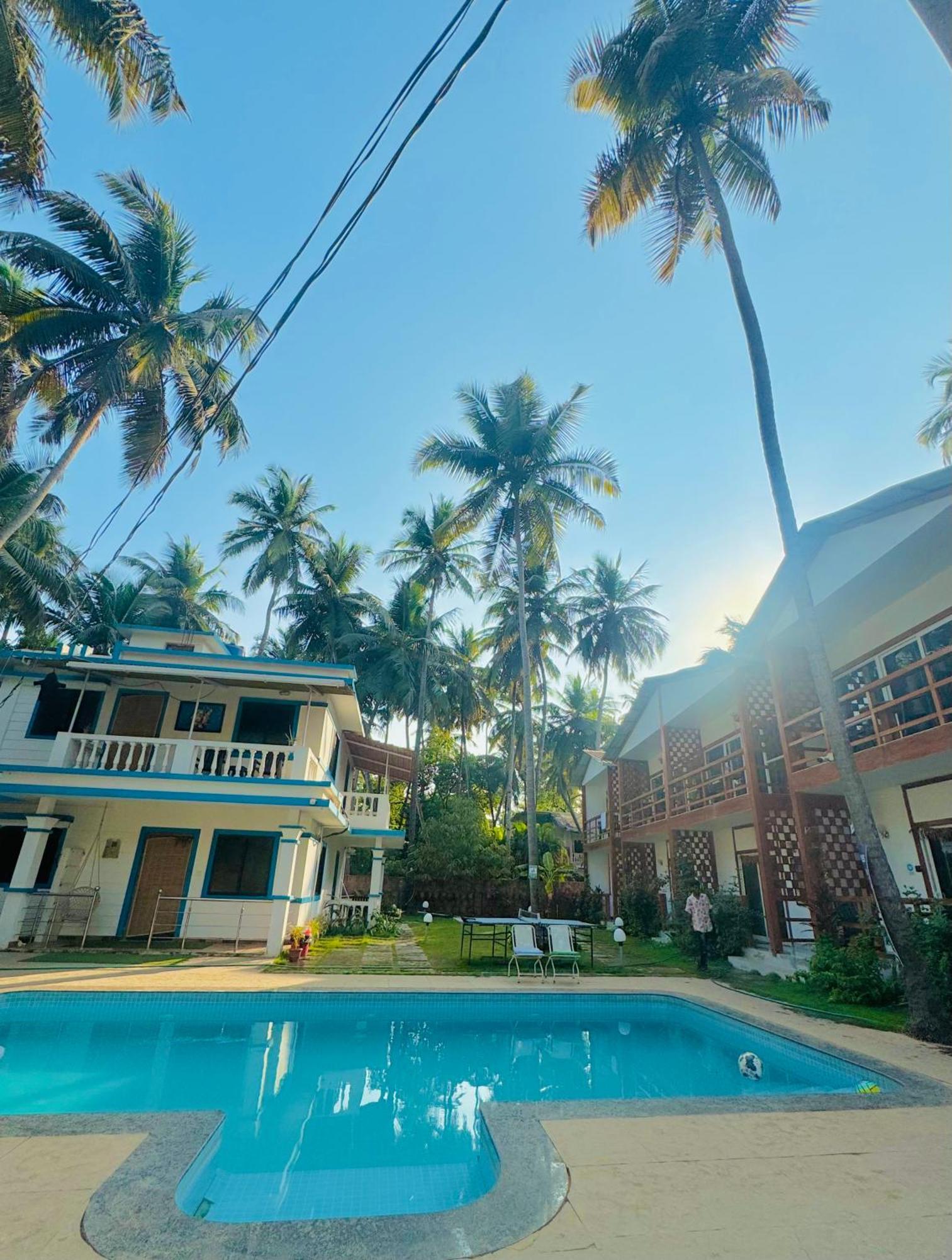 White Turtle Hotel Morjim Exterior foto